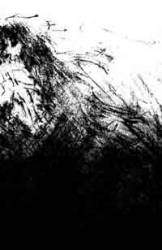 Shades Of Deep Water : Shades of Deep Water